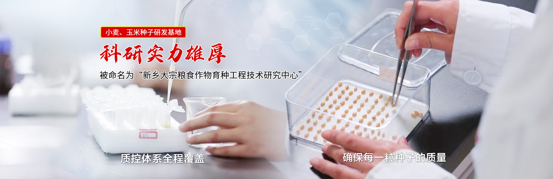 Taptap点点种业